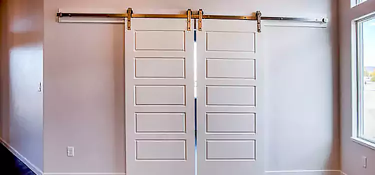 Glass Barn Door with Installation Hardware Kit New Brunswick