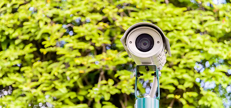 Advanced Surveillance Solutions for Every Need in New Brunswick